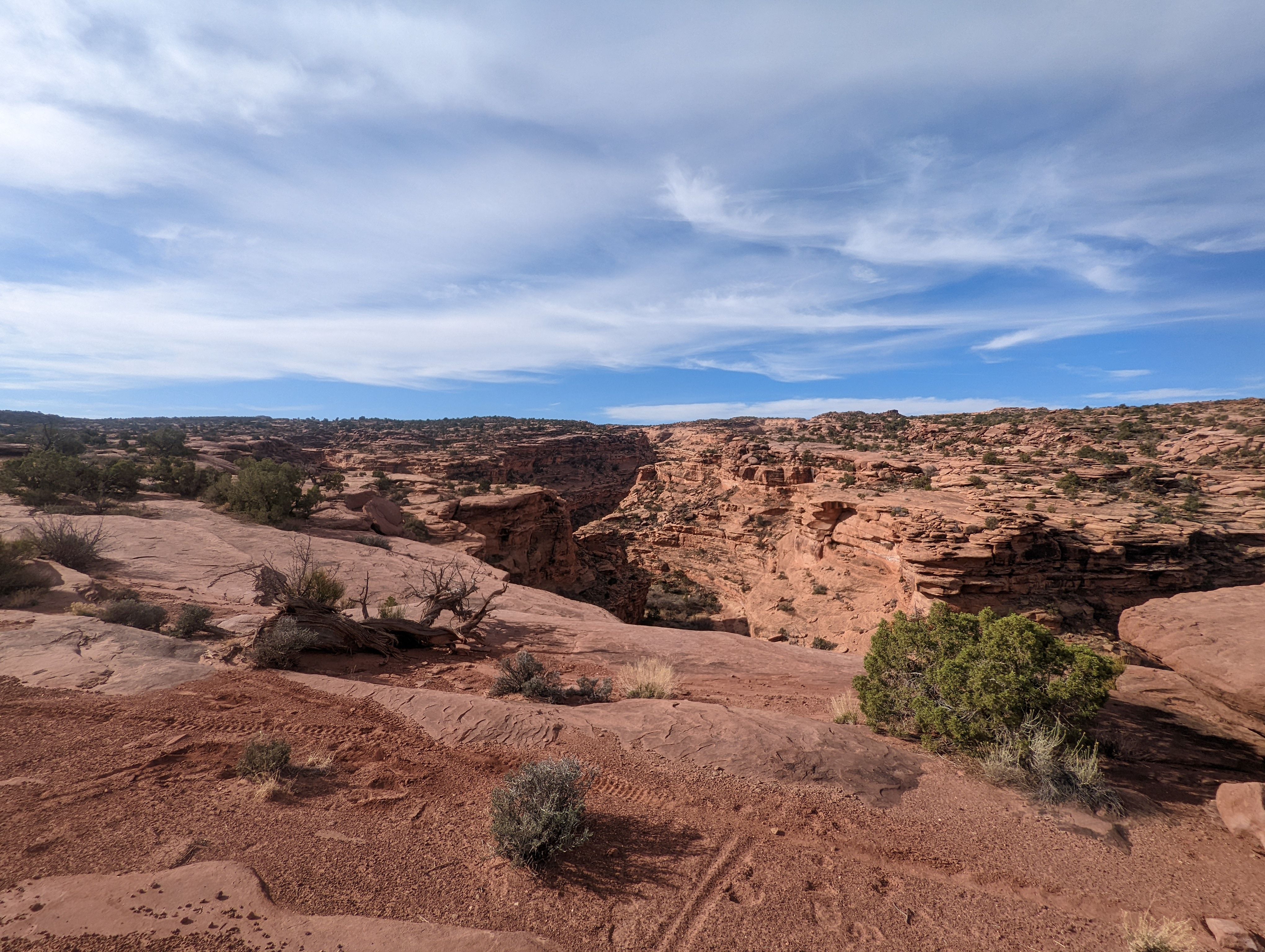 Canyons and desert along the Moab Behind the Rocks 50k race course