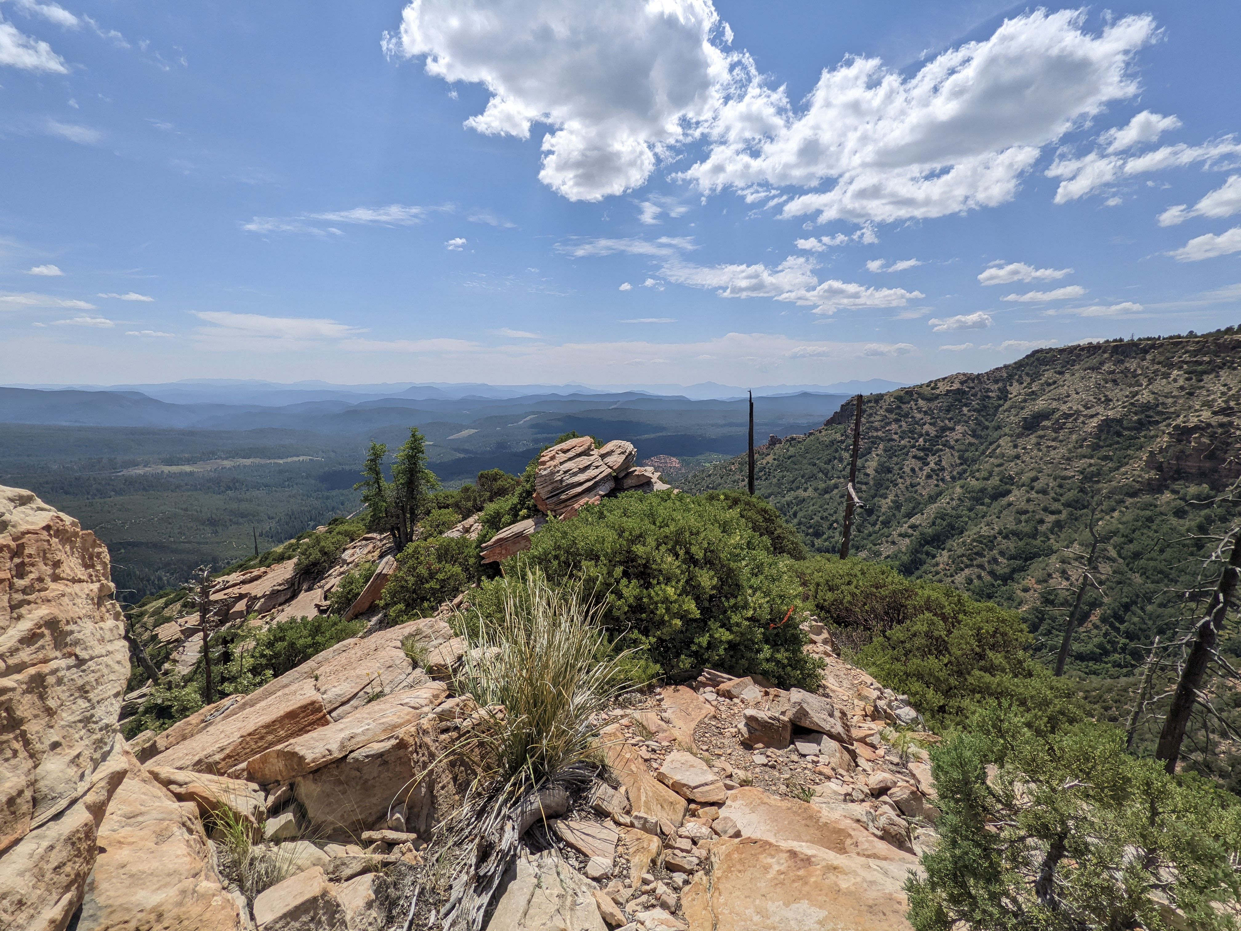 rugged trails of the Mogollon Rim