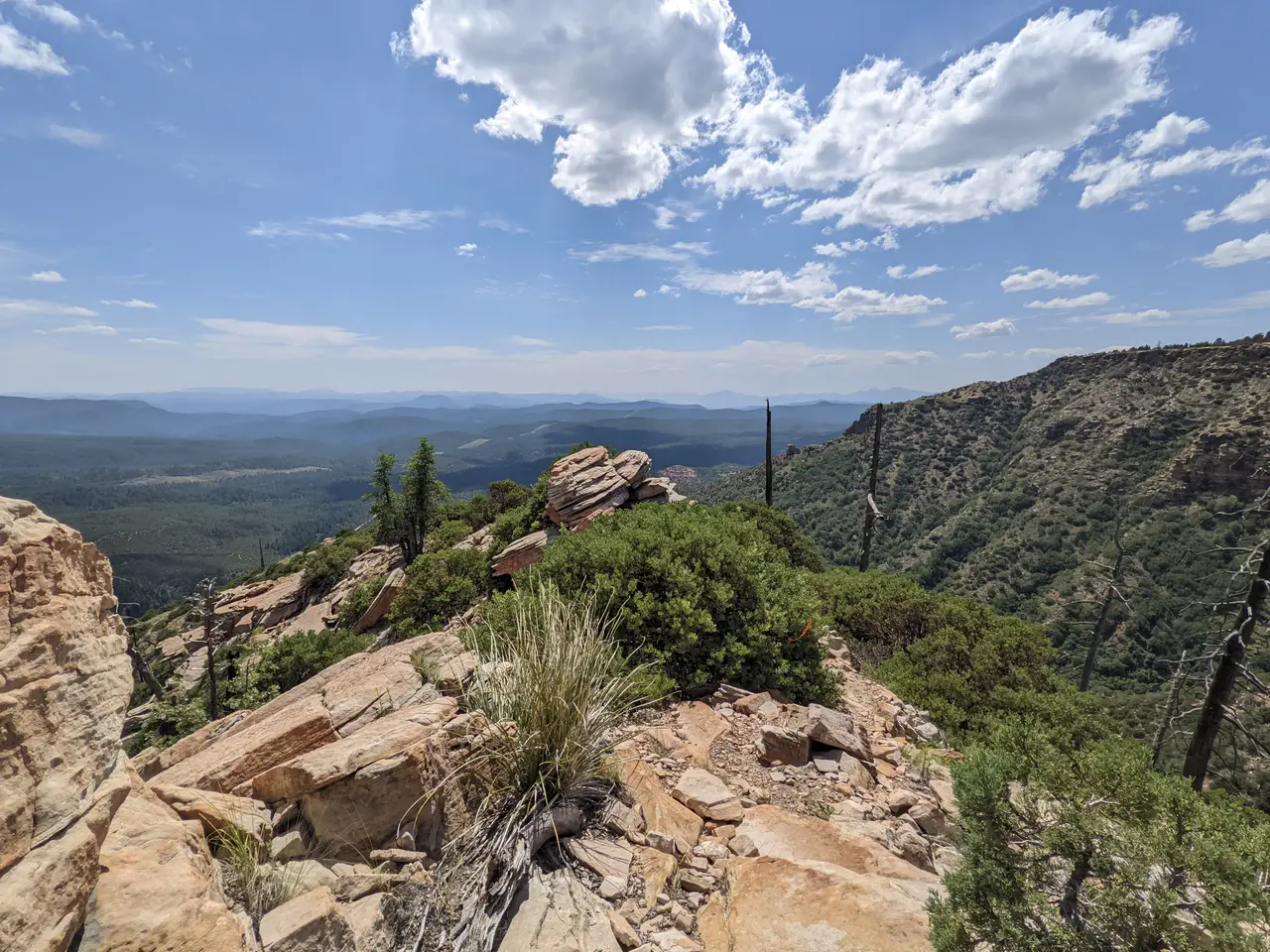 rugged trails of the Mogollon Rim