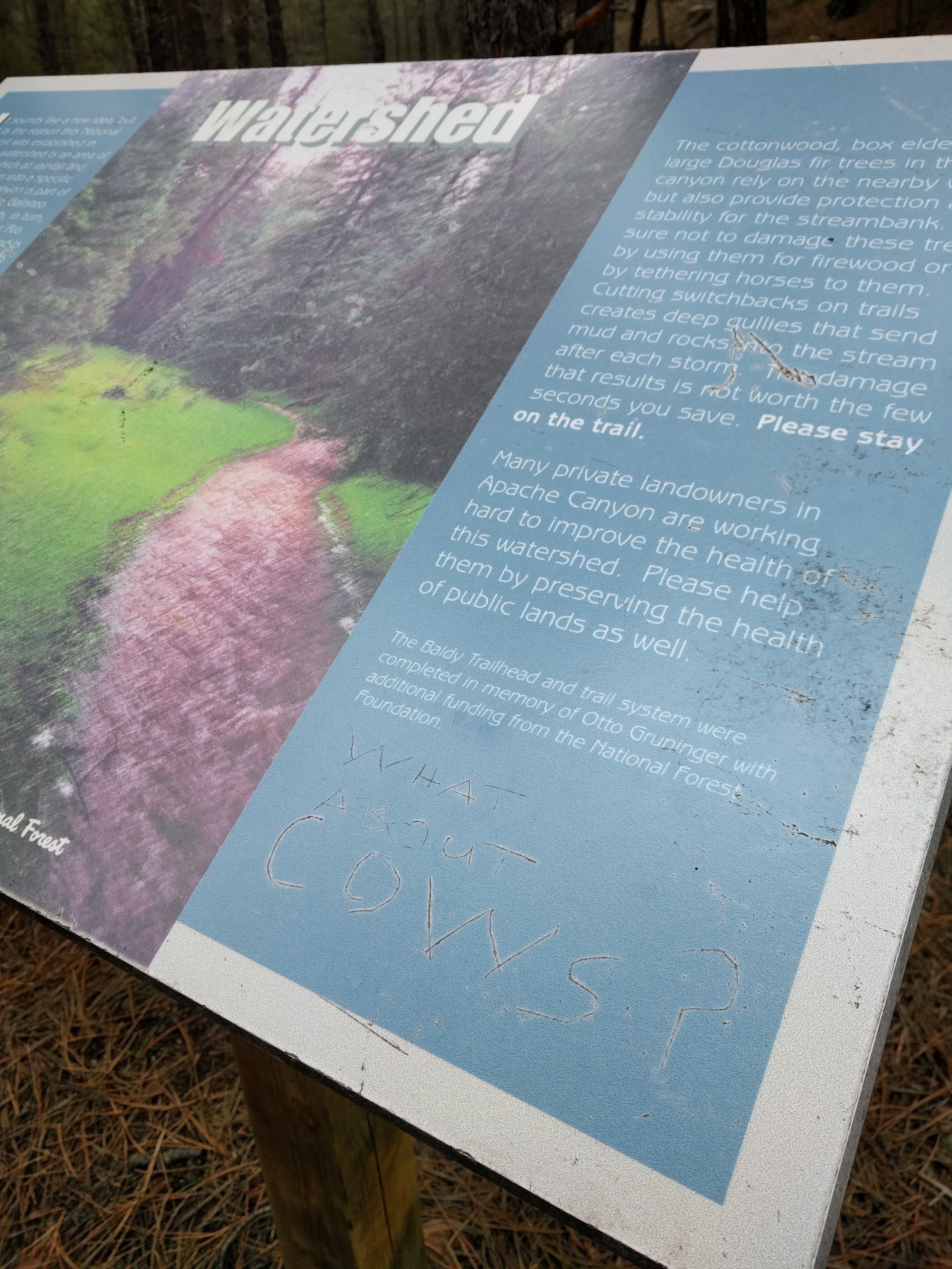 Hypocrisy of a sign telling hikers to stay on trail where cattle are grazing. © Justin Poehnelt